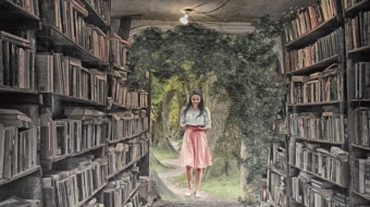 library-3992076_1920-min