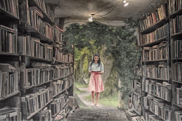 library-3992076_1920-min